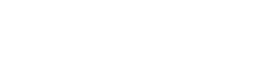 Skillio logo — Since AI partner