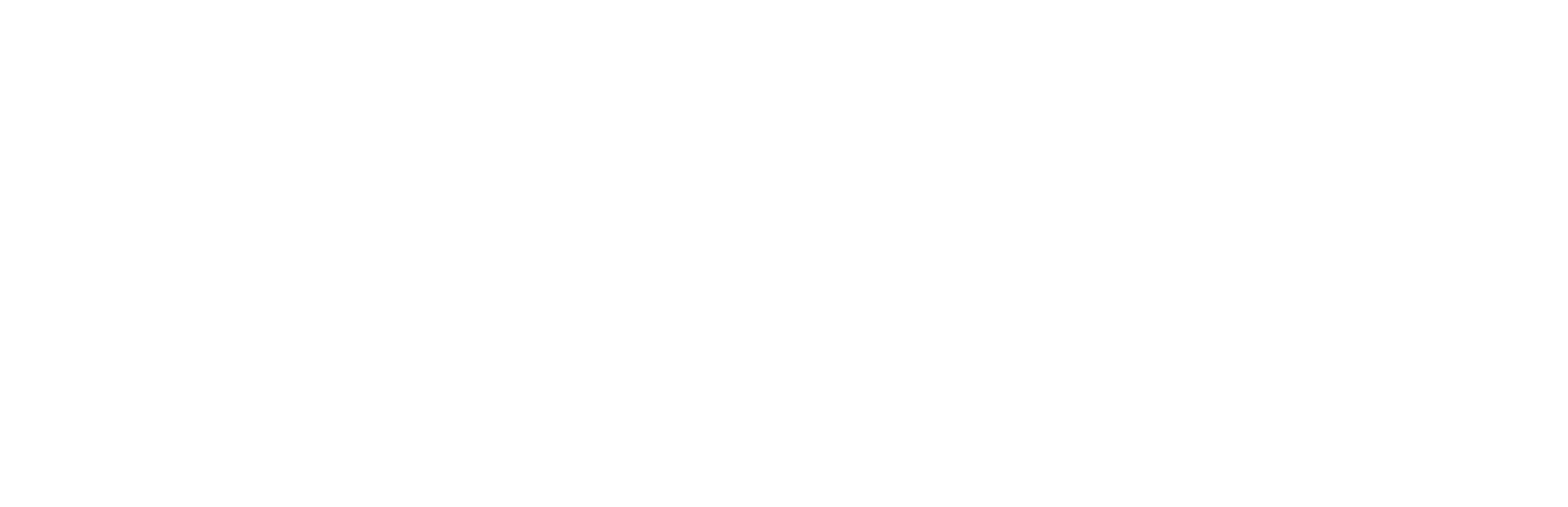 Business Turku logo — Since AI partner