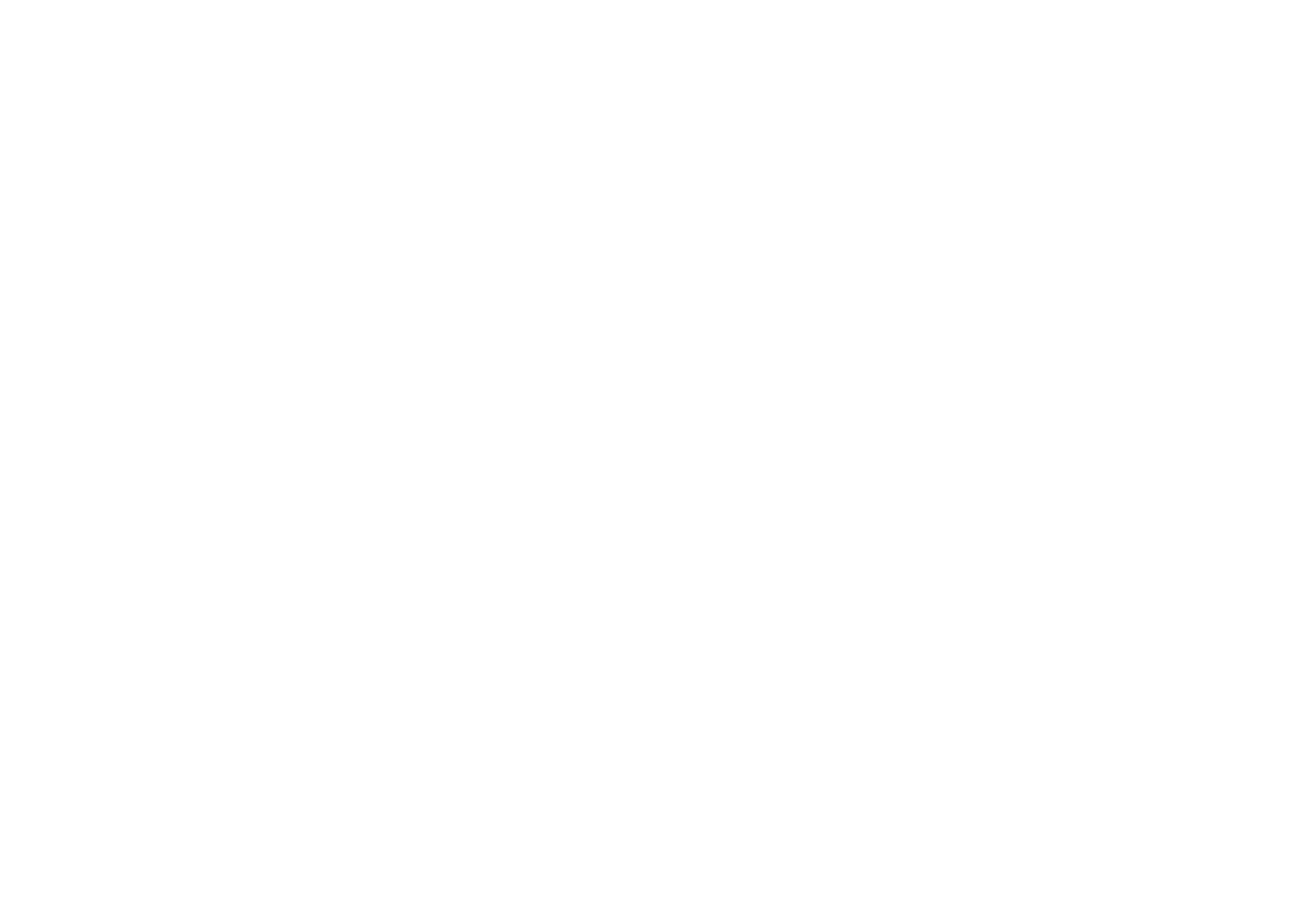 City of Turku logo — Since AI partner